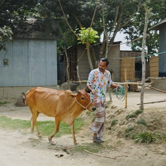 insurecow PC