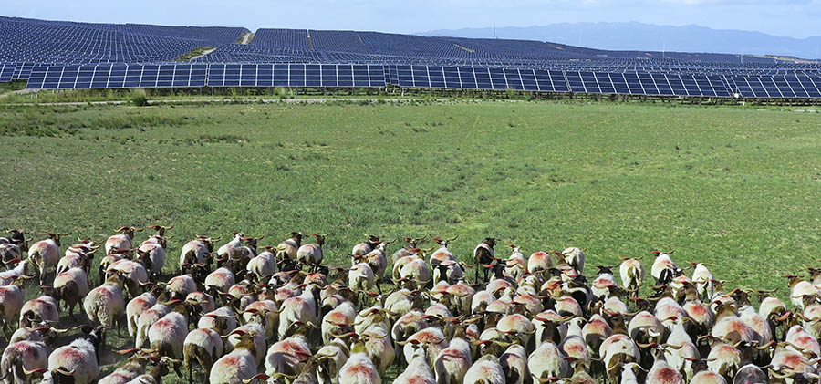 Qinghai, green energy, polar