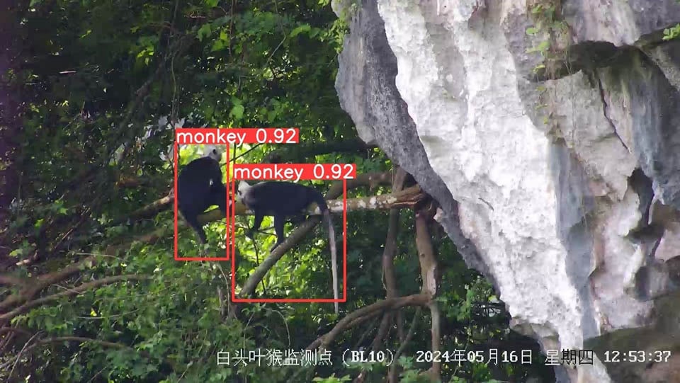 Real-time picture of the intelligent monitoring platform