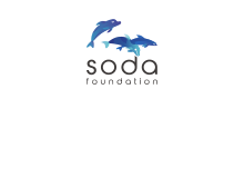 soda foundation 2